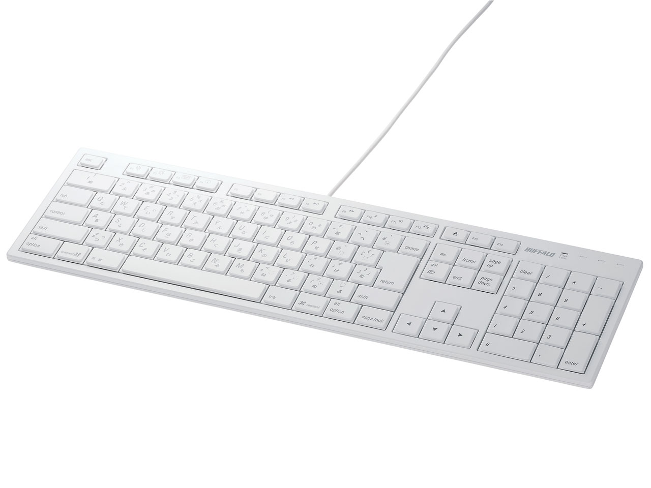 BSKBM01WH (�z���C�g)