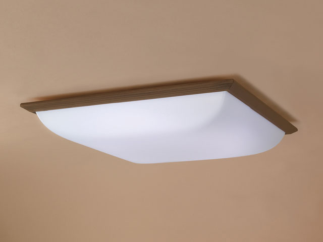 9LKZ309SG �̐��i�摜