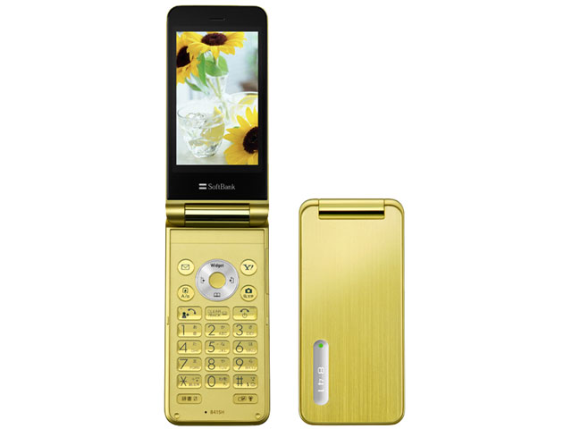 THE PREMIUM6 WATERPROOF SoftBank 841SH �̐��i�摜