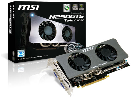 N250GTS Twin Frozr 1G (PCIExp 1GB) �̐��i�摜