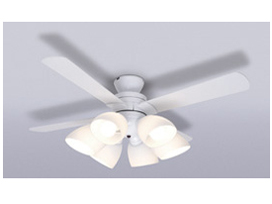 XZF-156113RLSG �̐��i�摜