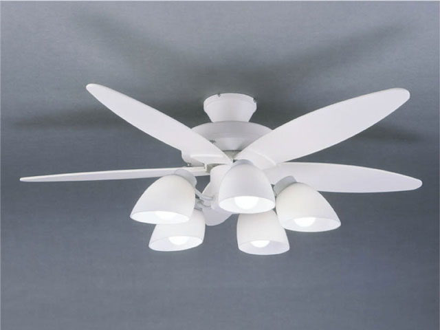 ���b�L�[ LFARE-16007 �̐��i�摜