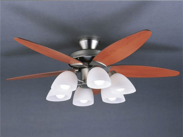 ���b�L�[ LFARE-17276 �̐��i�摜