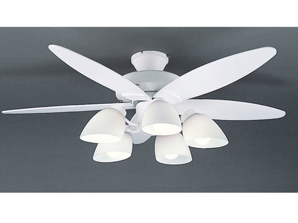 LFAR-29500 �̐��i�摜