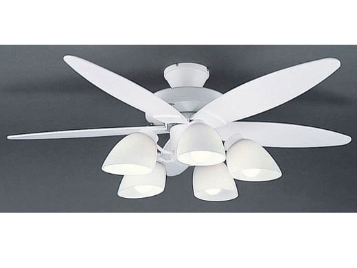 LFAR-29507 �̐��i�摜