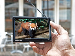 GORILLA Lite NV-LB60DT