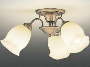 BFC30003ZEL �̐��i�摜