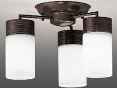 BFC30009ZEN �̐��i�摜