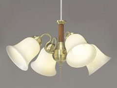 BFC-4901Z �̐��i�摜