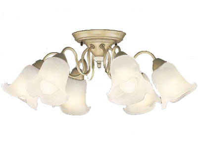 BFC60002ZEL �̐��i�摜