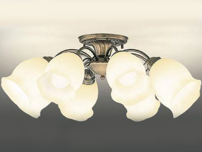 BFC60003ZEL �̐��i�摜