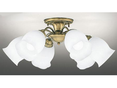 BFC60003ZEN �̐��i�摜