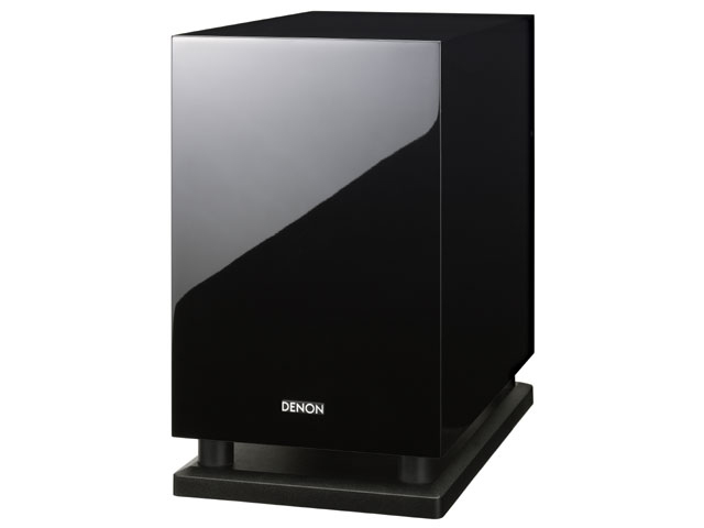 DSW-300SG-K [�u���b�N �P�i] �̐��i�摜