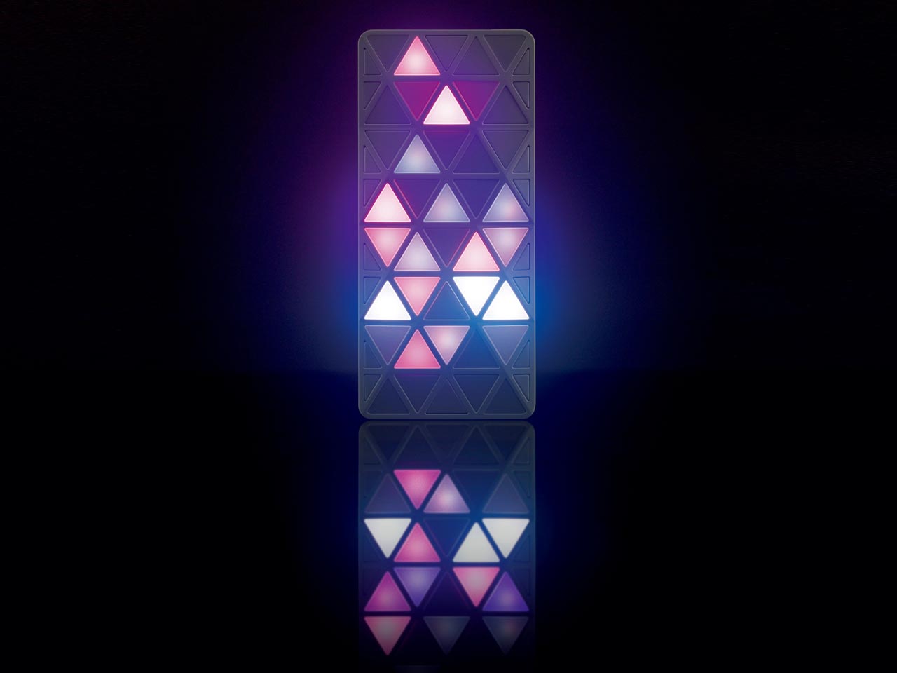 iida LIGHT POOL [�z���C�g]