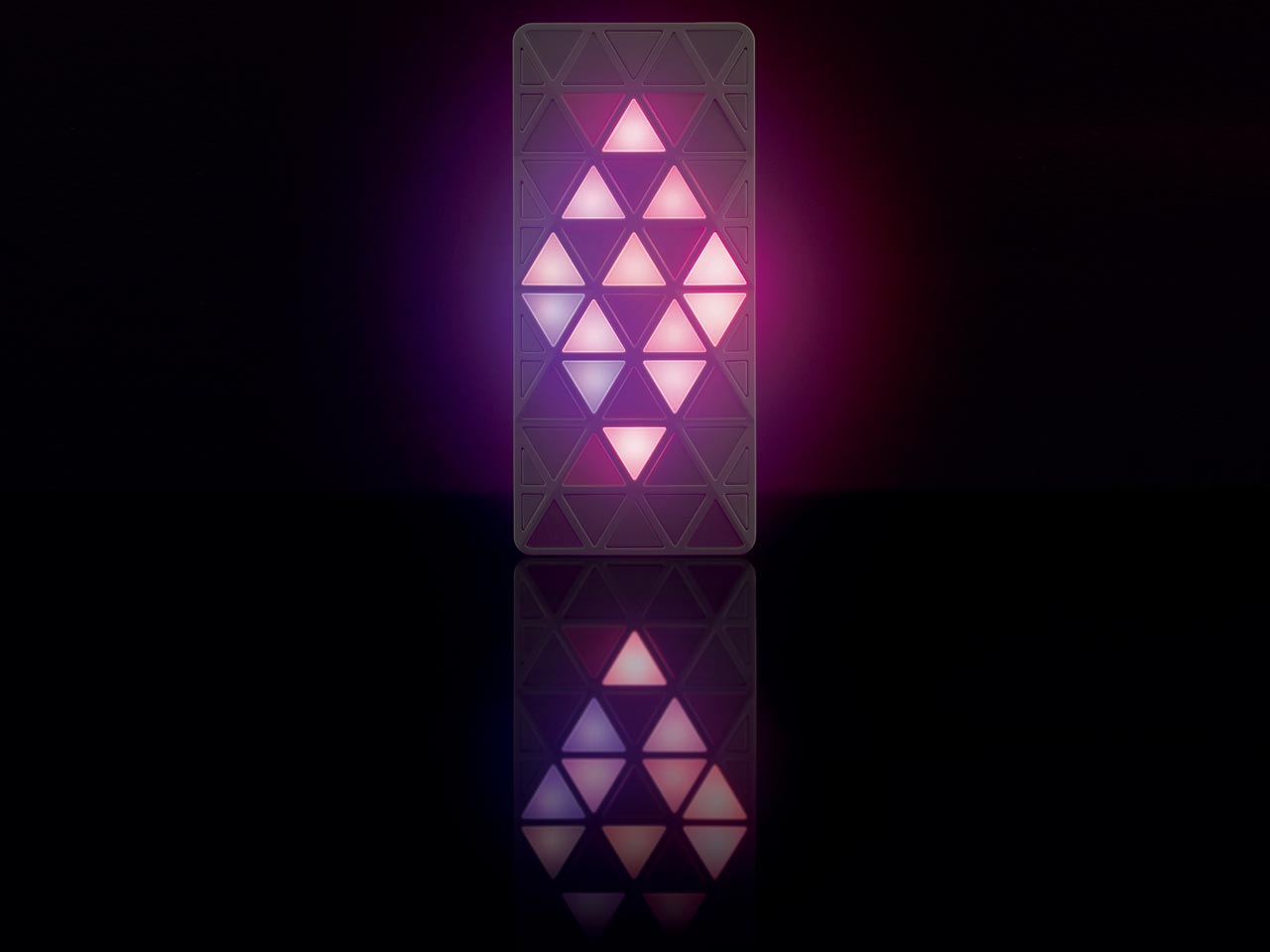 iida LIGHT POOL [�z���C�g]