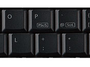 TK-FBP017BK [�u���b�N]