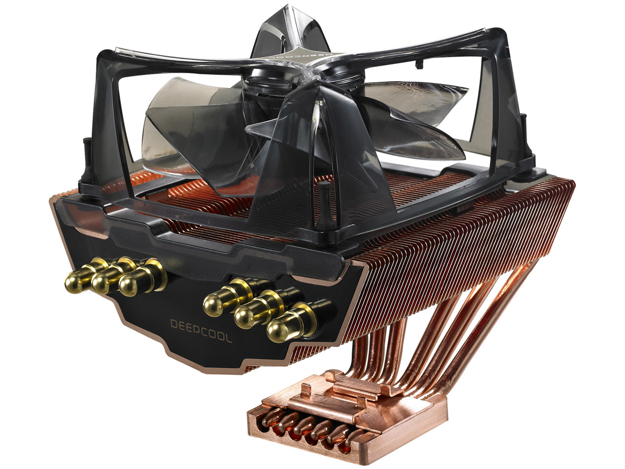 KILLER WHALE PREMIUM �̐��i�摜