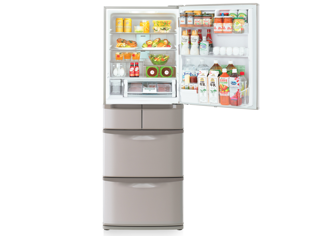 �t���X�g���T�C�N����p �^��`���hW R-SL47AM(T) [���C�g�u���E��]