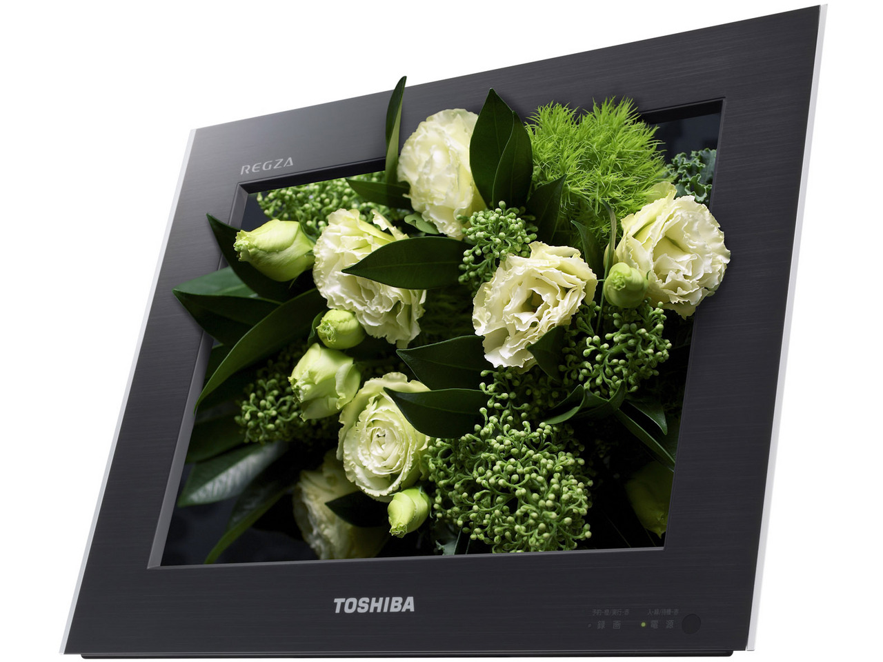 �O���X���X3D REGZA 12GL1 [12�C���`]