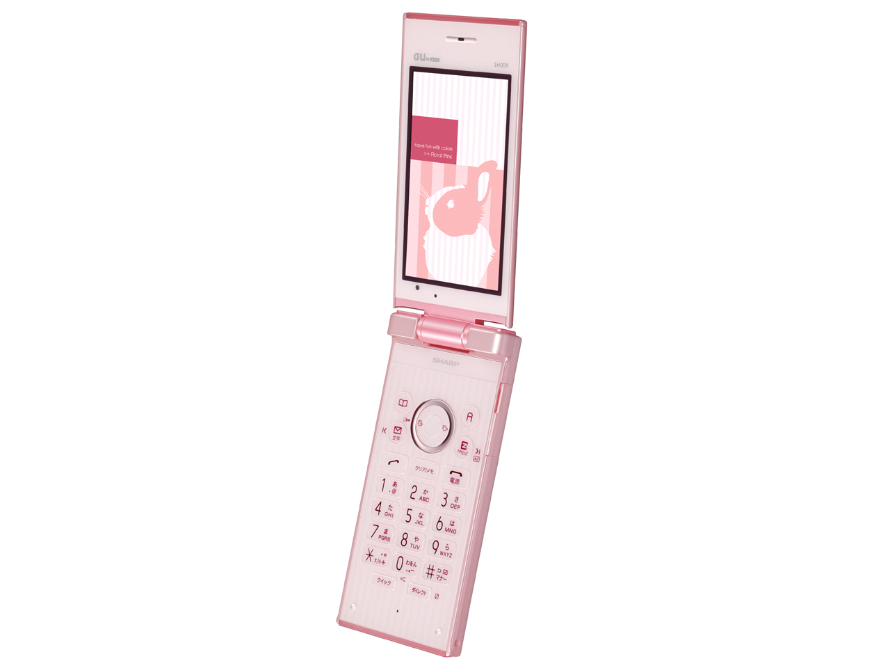 SH009 [�t���[�����s���N]