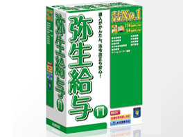 �퐶���^ 11 �̐��i�摜