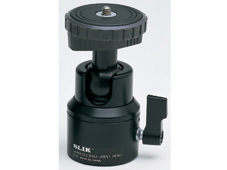 �o�����R�_�� �̐��i�摜