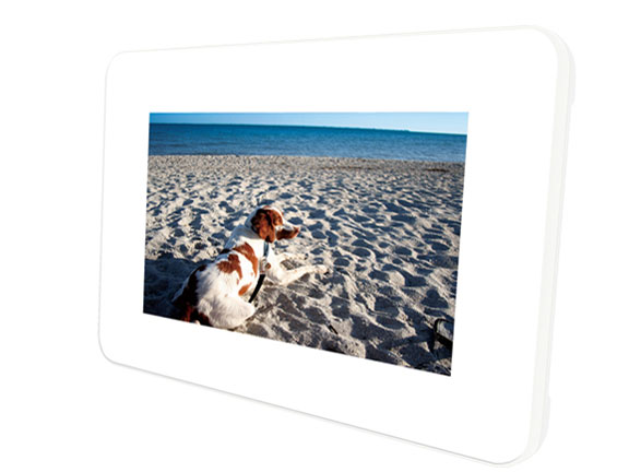 DS-DA801WH [�z���C�g] �̐��i�摜