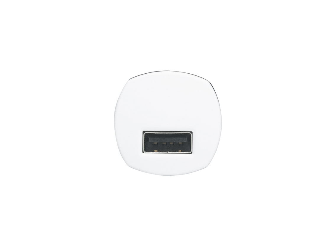 BSIPA10WH [�z���C�g]