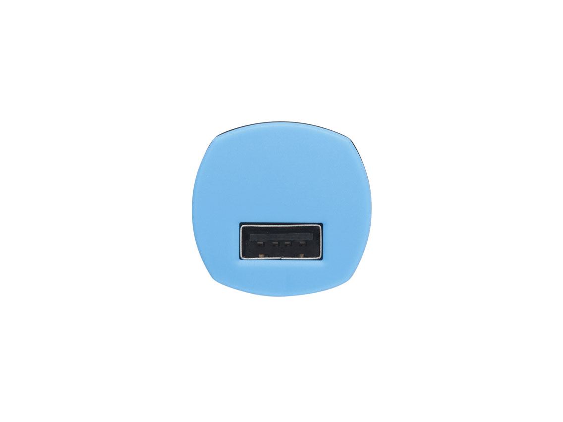BSIPA10BL [�u���[]