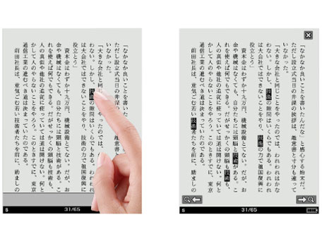 Reader Pocket Edition PRS-350 (L) [�u���[]