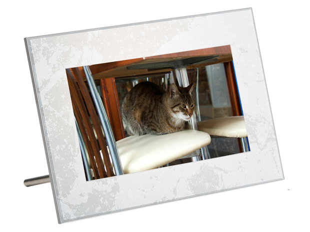 DP-701SH W [�z���C�g] �̐��i�摜