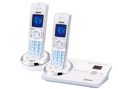 DECT3080-2(W) [�z���C�g] �̐��i�摜