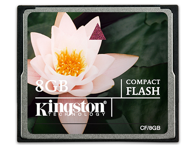 CF/8GB [8GB] �̐��i�摜