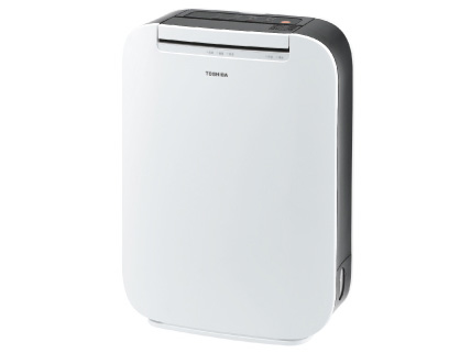 RAD-DN70(H) [�O���[] �̐��i�摜