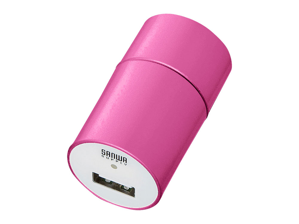 ACA-IP12P2 [�s���N]