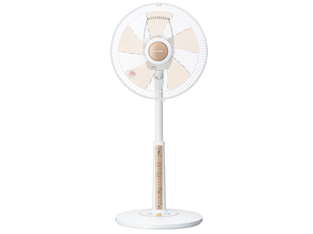 R30J-RM-B [�i�`�������u���E��] �̐��i�摜