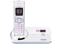 DECT3080(PW) �̐��i�摜