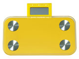PRISMATE �҂��� mini plus BGO-11-YL [�C�G���[]