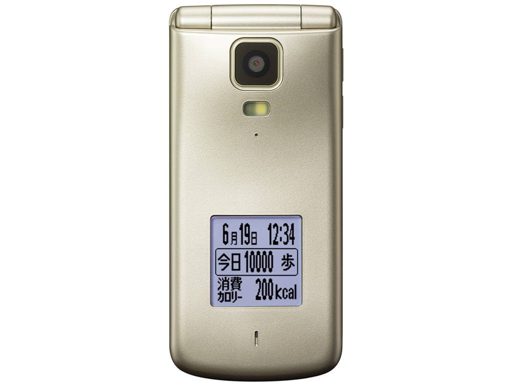 �ȒP�P�[�^�C K010 [�S�[���h]