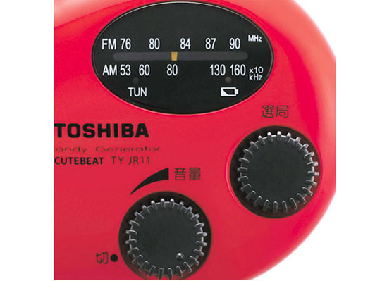 TY-JR11(R) [�t�@�C�����b�h]