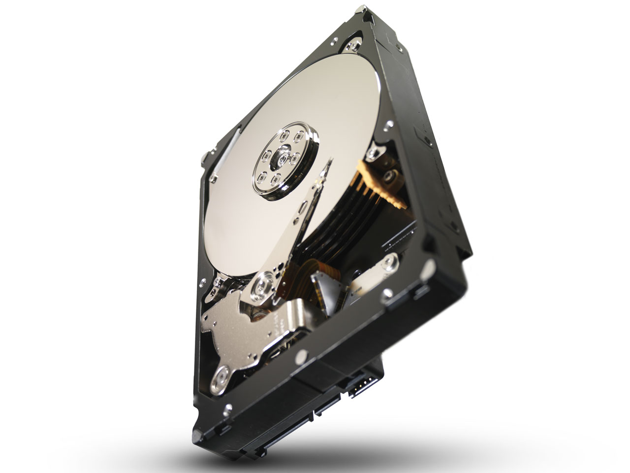 ST2000NM0001 [2TB 7200 SAS2.0]