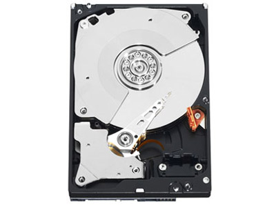 WD2503ABYX [250GB SATA300 7200] �̐��i�摜