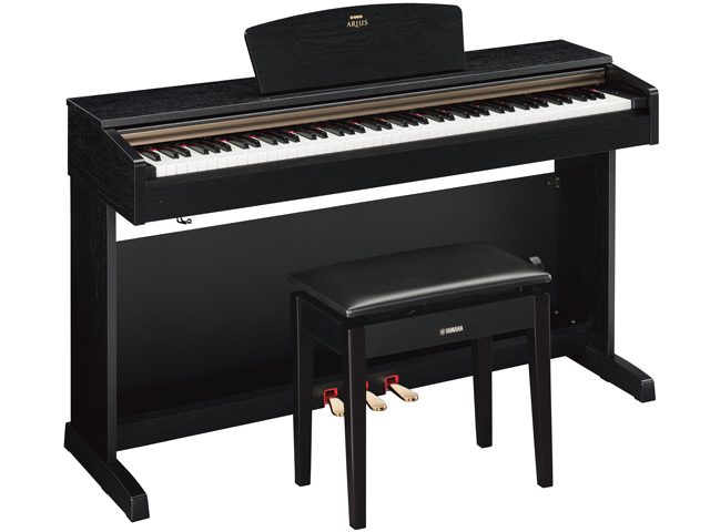 ARIUS YDP-161BJ [�u���b�N�E�b�h��] �̐��i�摜