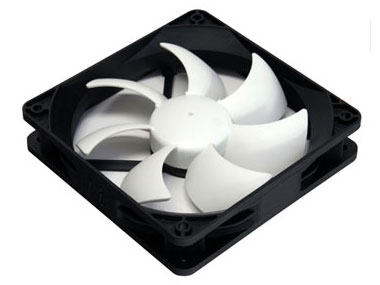 Bigwater A80 CLW0214