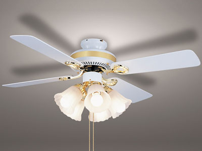 XZF-155103L �̐��i�摜