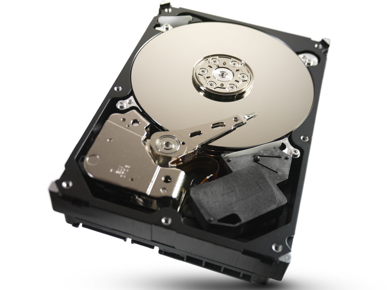 ST250DM000 [250GB SATA600 7200]