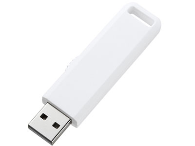 UFD-SL1GW [1GB �z���C�g]