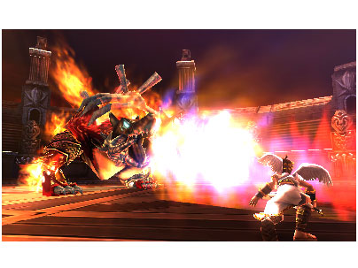 �V�E���_�b �p���e�i�̋�