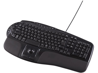 SKB-ERG1 �̐��i�摜