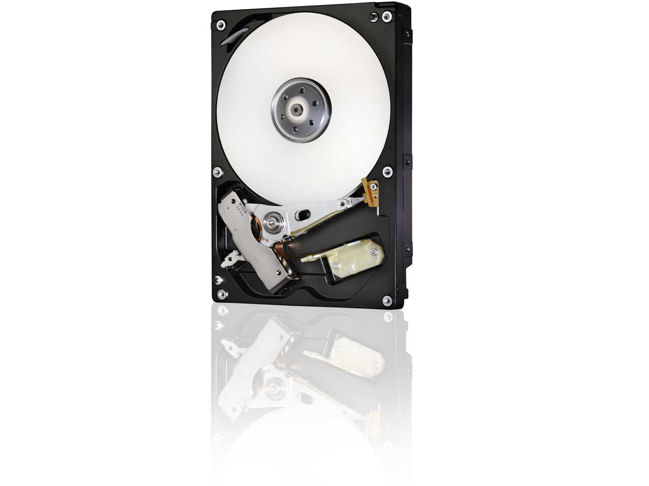 0S03385 [1TB SATA600 7200]
